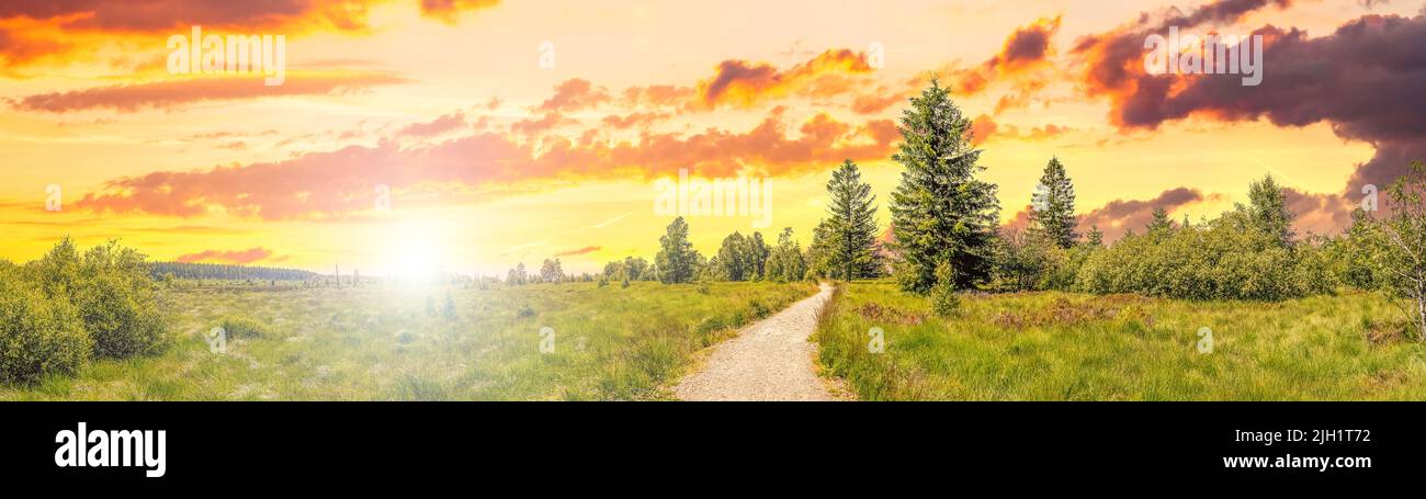 High Fens (allemand: Hohes Venn), Paysage, Malmedy, Allemagne Banque D'Images