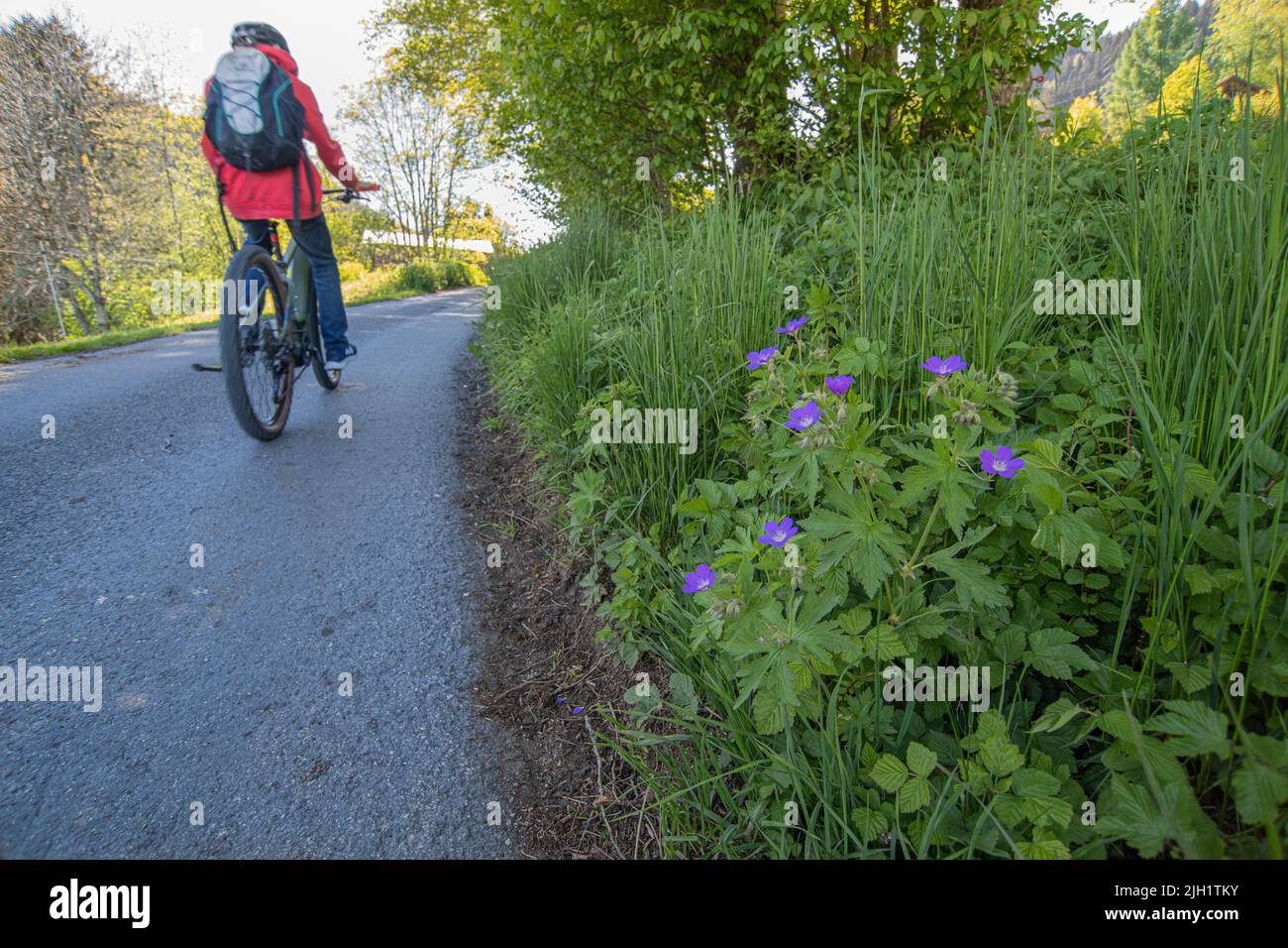 Cycliste à vélo à travers une route de campagne près de Brigels, région de Surselva, dans le canton suisse des Grisons, en Suisse. Banque D'Images