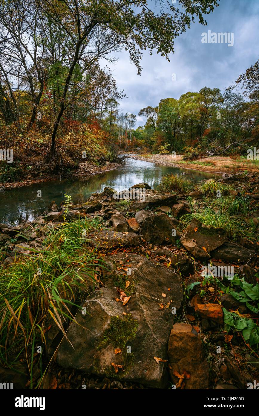 Rivière au début de l'automne, feuilles colorées, paysage magnifique Banque D'Images