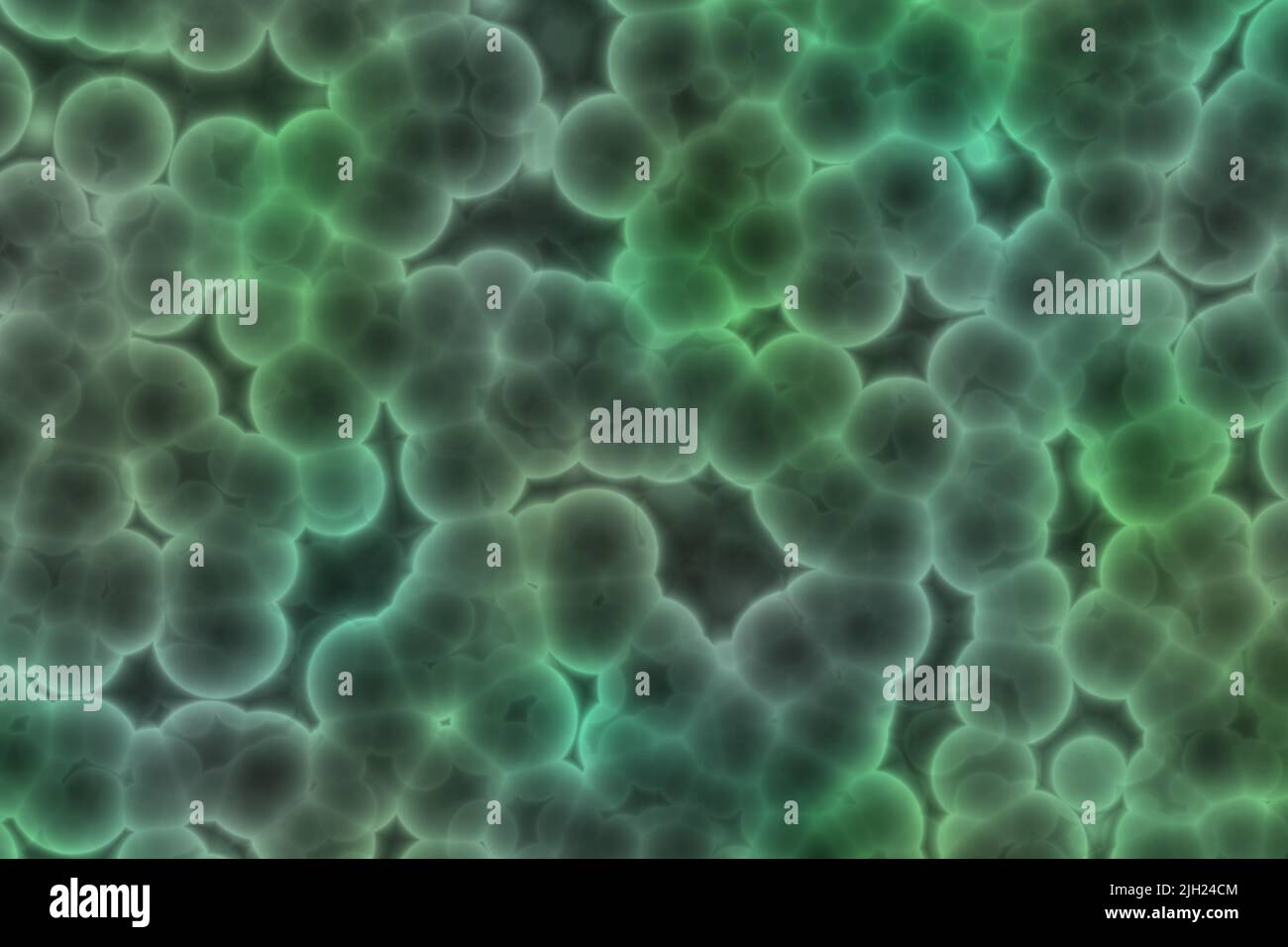 Une bactérie détectant avec un nanocapteur vert fluorescent. Bactéries sous microscope vert Banque D'Images