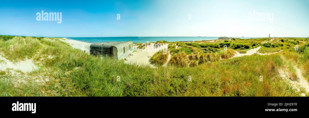 Vue sur la plage et l'océan à Skagen, Danemark Banque D'Images