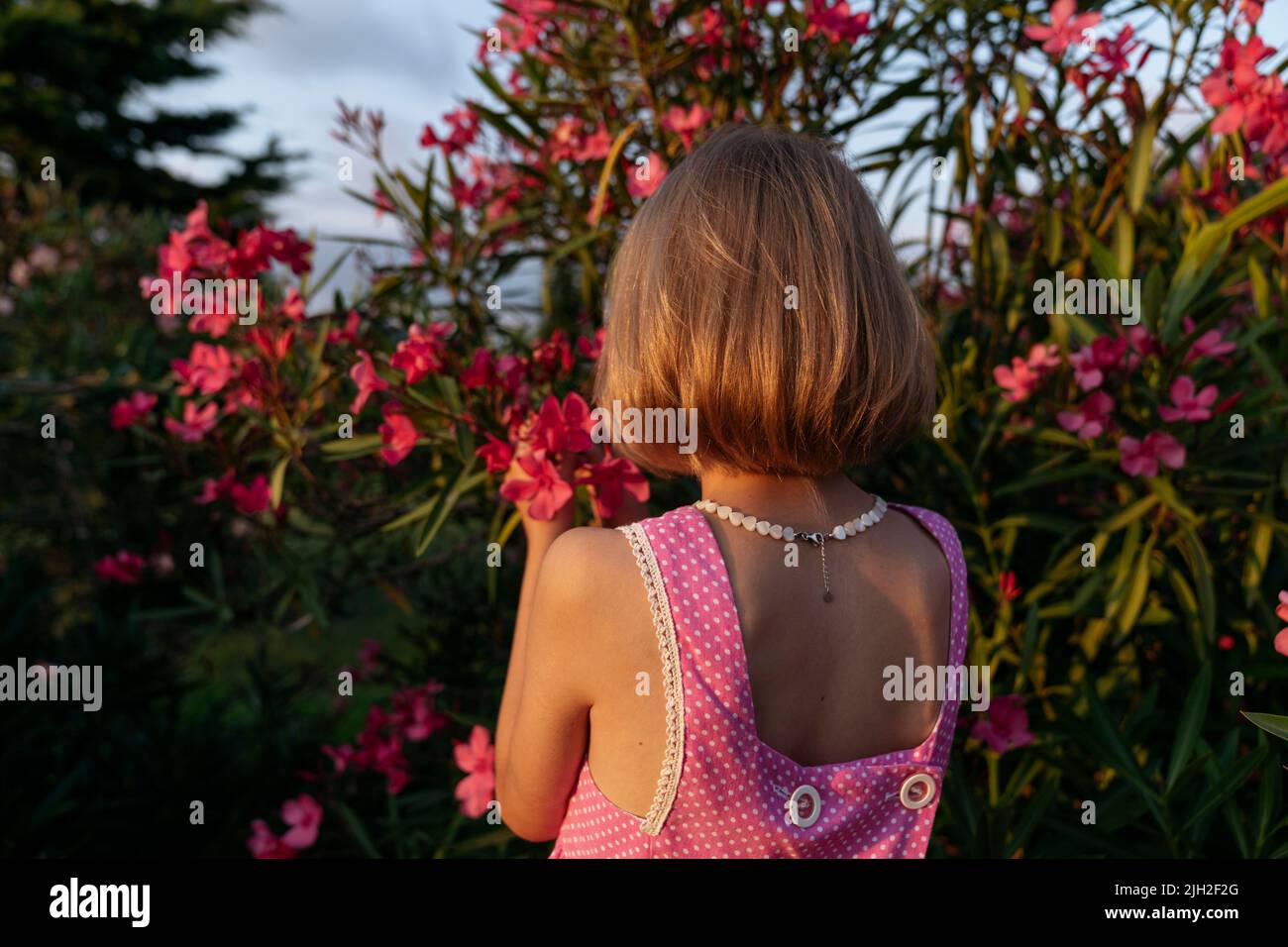 Vue de fille de l'arrière avec une fleur de Bush. Banque D'Images