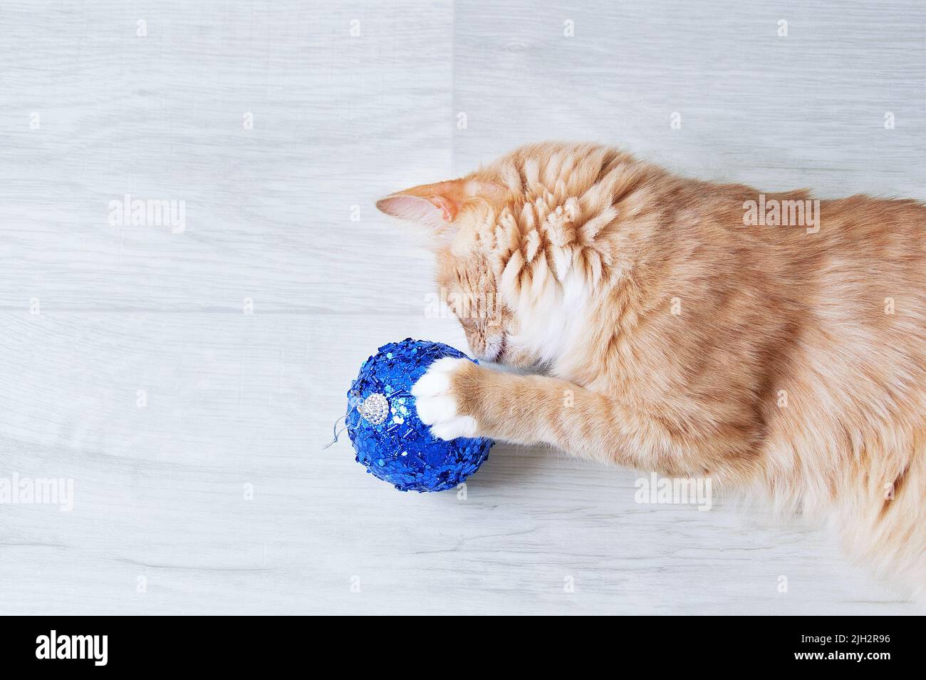 Le chaton au gingembre joue avec un ballon bleu de Noël couché sur le sol. Banque D'Images