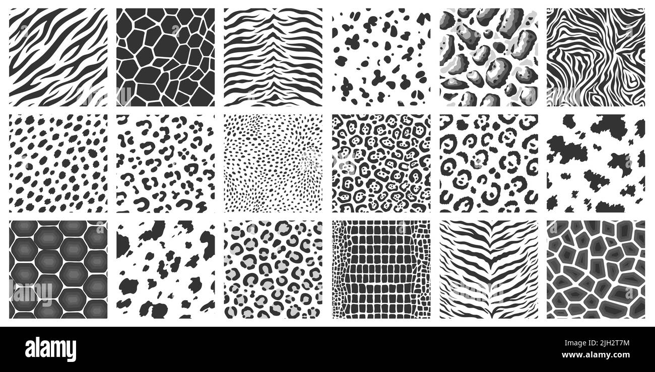 Texture d'animal noire. Imprimé safari tendance, girafe sauvage sans couture en léopard peau de zèbre tigre. Collection de tissus vectoriels avec fourrure de mammifère et Illustration de Vecteur