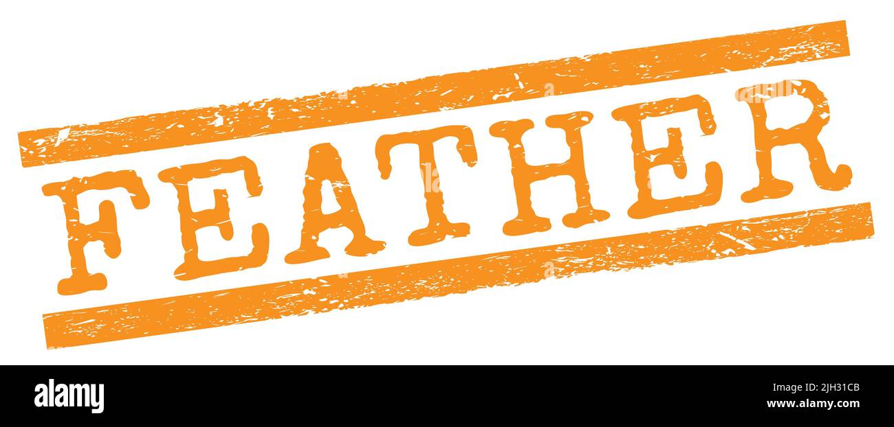 Texte EN PLUMES écrit sur l'étiquette orange grungy lignes cachet. Banque D'Images