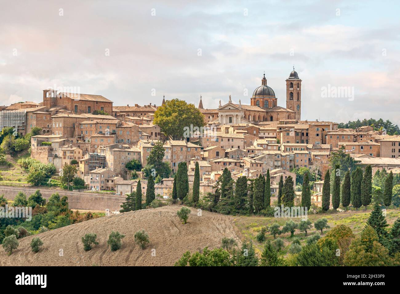 Vue sur la ville d'Urbino, région des Marches, Italie Banque D'Images
