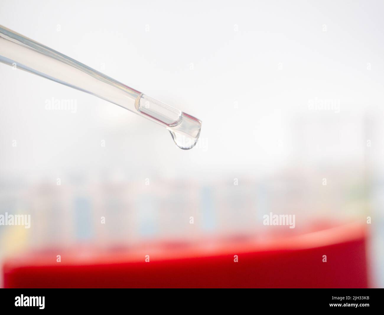 Chimie analytique - échantillon pipeté dans un tube à essai pour analyse en laboratoire. Banque D'Images