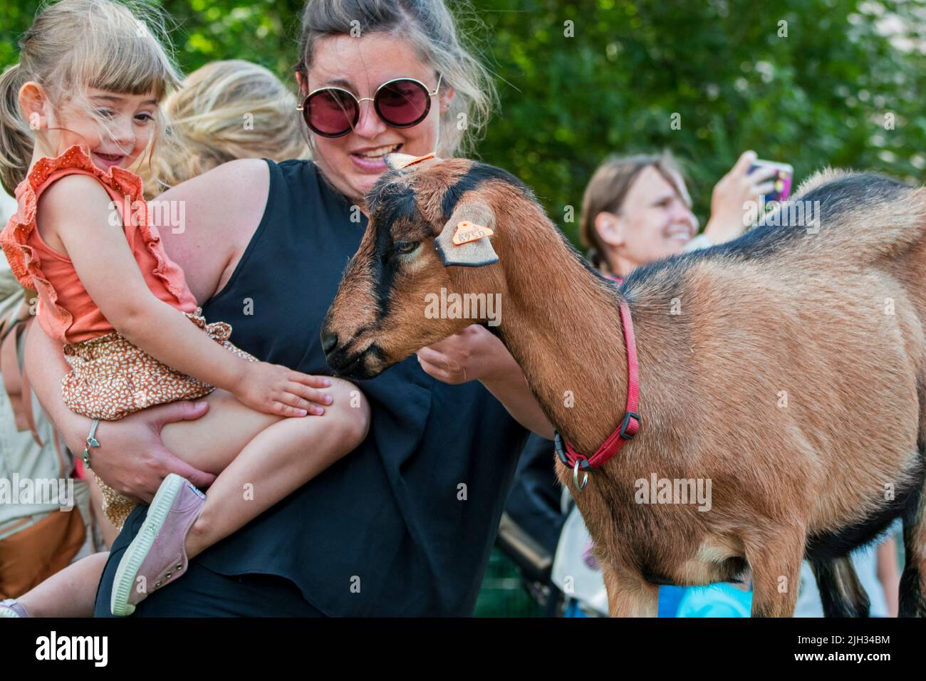 Petit enfant au bras de la mère regardant la chèvre pygmée / chèvre nain d'Afrique de l'Ouest au zoo pour enfants / ferme pour enfants Banque D'Images