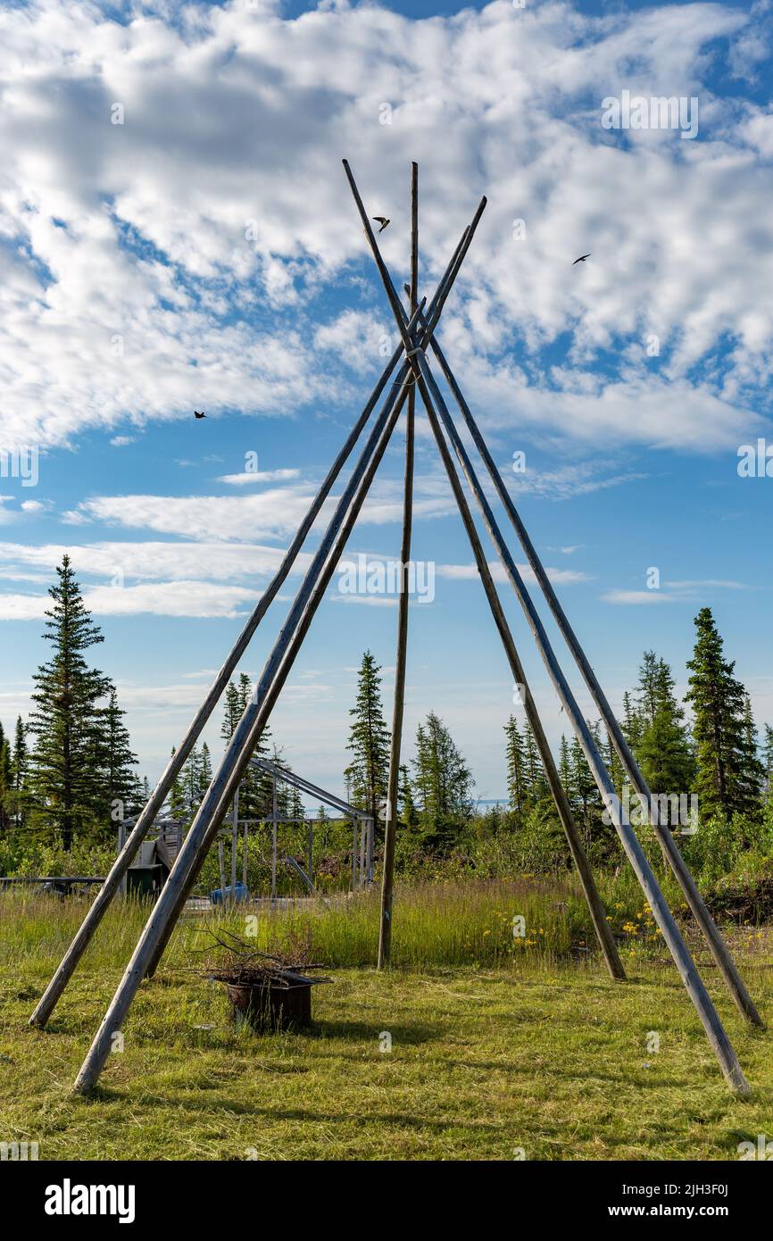 Poteaux en bois de tipi traditionnel en cabine en été, près de la communauté indigène du nord de Deline, Territoires du Nord-Ouest, Canada Banque D'Images