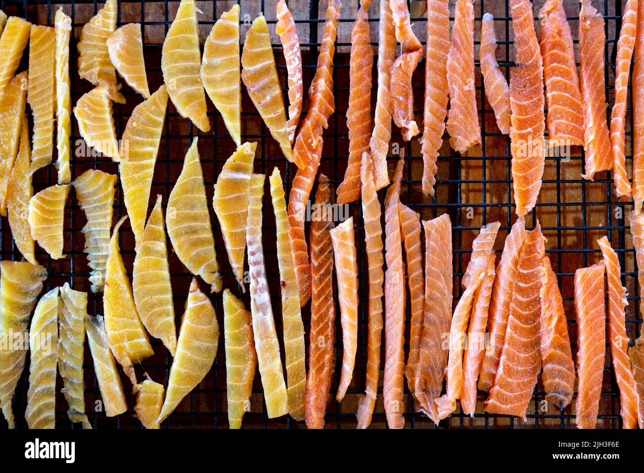 Des bandes de poisson prêtes à être fumées dans la tipi - une spécialité alimentaire locale de la communauté autochtone du nord de Deline, dans les Territoires du Nord-Ouest Banque D'Images