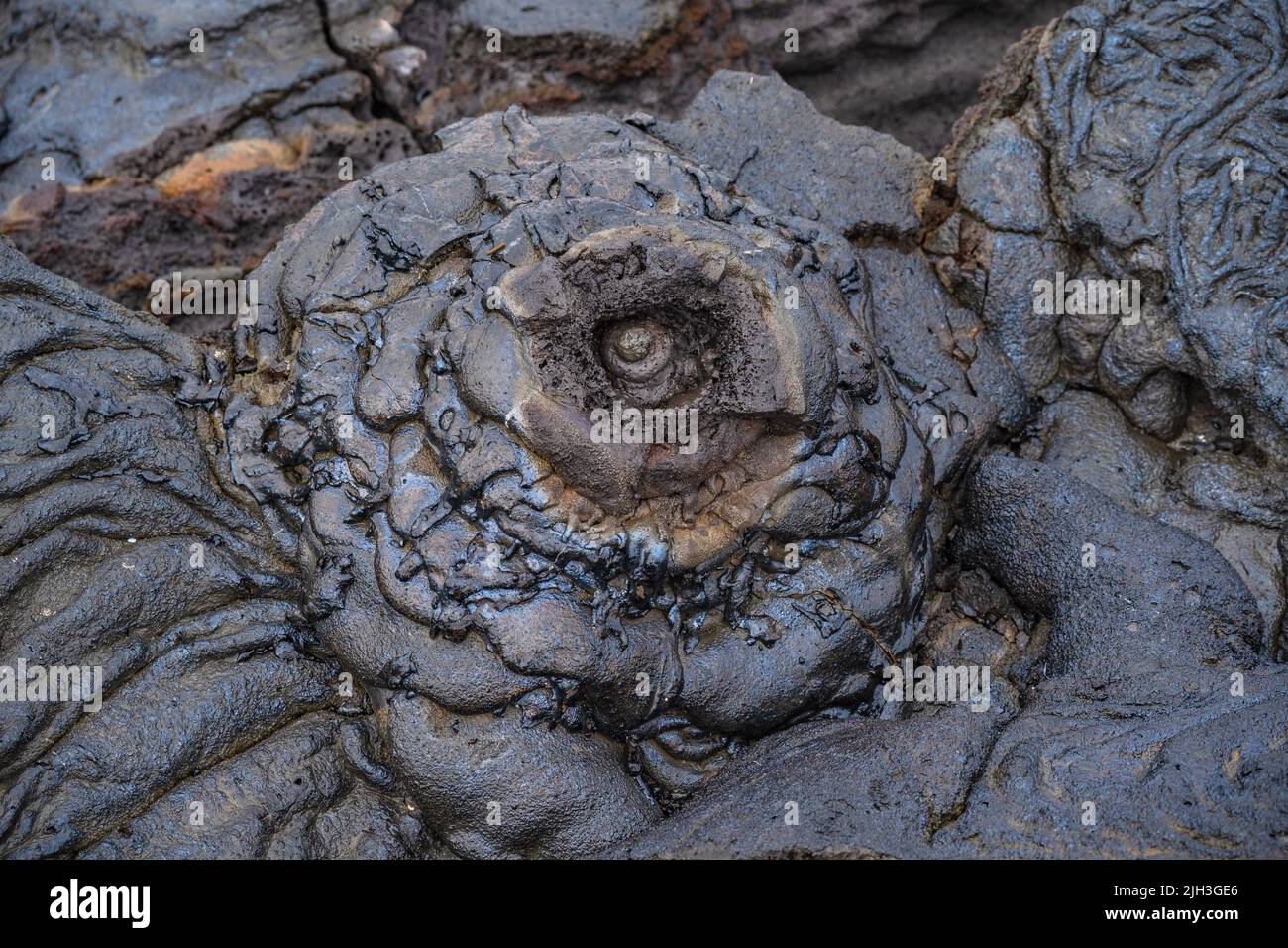 Formations rocheuses de lave noire sur l'île de Santiago dans les Galapagos Banque D'Images