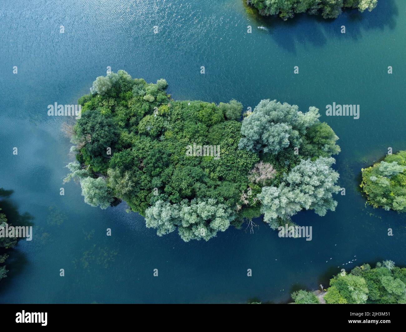 Vue aérienne sur l'île sur un lac d'eau claire et tranquille dans le Herrfordshire avec roseaux sous-marins Banque D'Images