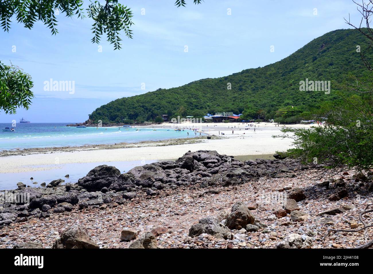Jolie plage scène de colline, sable et rochers à Tien Beach sur l'île de Koh Larn, Thaïlande, Asie. Banque D'Images