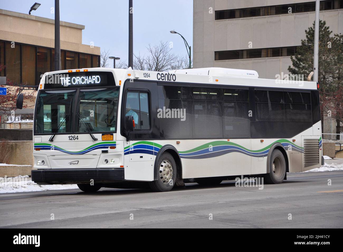 Utica Centro bus sur Genesee Street dans le centre-ville d'Utica, New York State NY, Etats-Unis. Banque D'Images