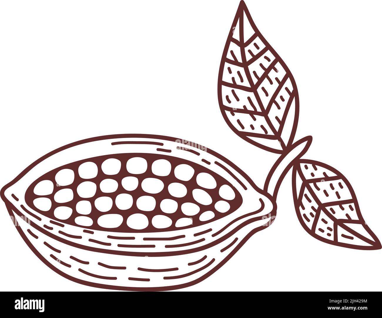 icône représentant un dessin de fruits de la plante de cacao Illustration de Vecteur