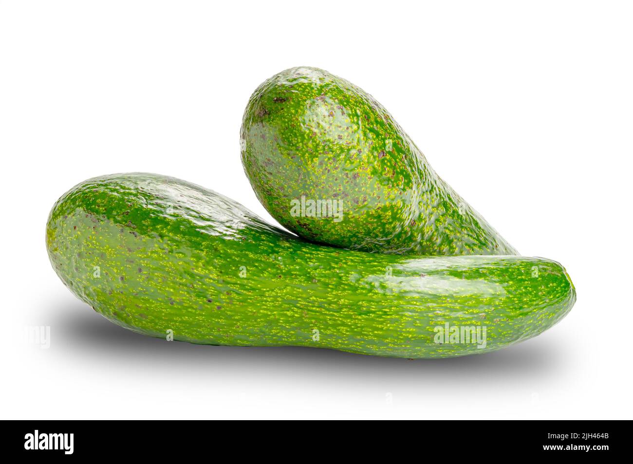 Avocat vert frais isolé sur fond blanc avec chemin d'écrêtage. L'avocat est une plante indigène de la région des hautes terres. Banque D'Images