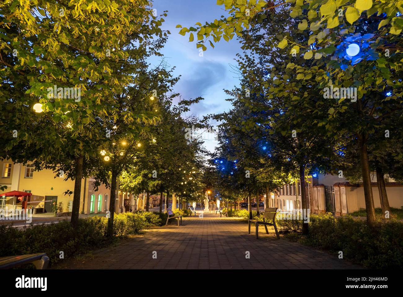 Boulevard de l'Ukraine avec éclairage jaune et bleu des lampes comme symbole du drapeau ukrainien Banque D'Images
