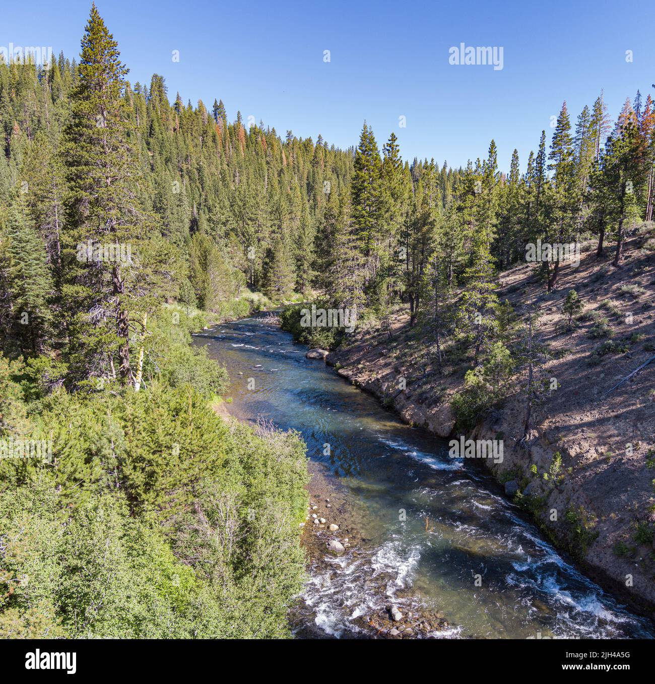 L'eau vive de la rivière Truckee serpente à travers les arbres forestiers dans le comté de placer en Californie. Banque D'Images