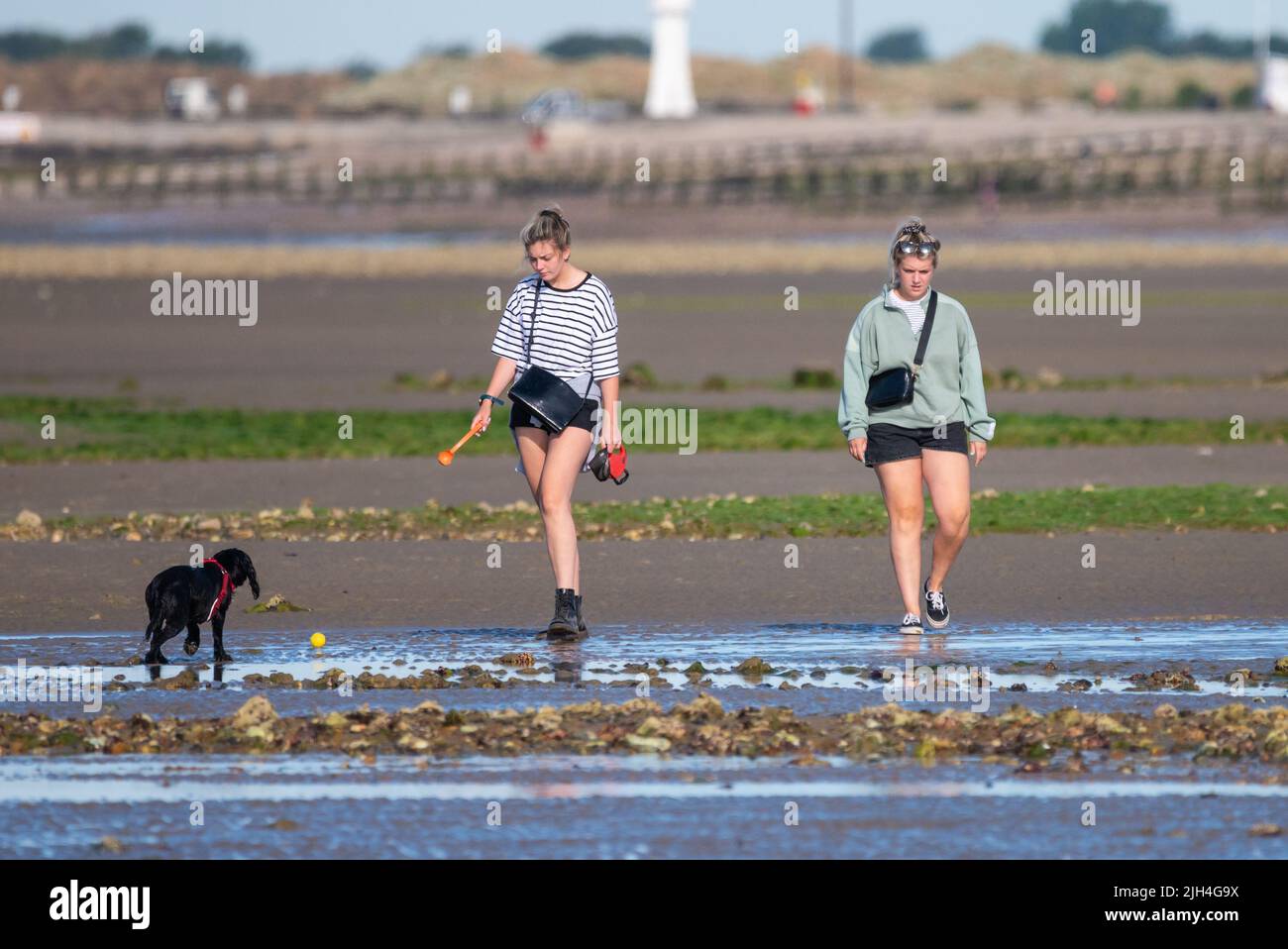 Littlehampton, West Sussex, Royaume-Uni. Vendredi 15th juillet 2022. Les gens marchent les chiens le long de la plage et dans la mer sur une autre matinée très chaude et ensoleillée sur la côte sud. Crédit : Geoff Smith/Alamy Live News Banque D'Images
