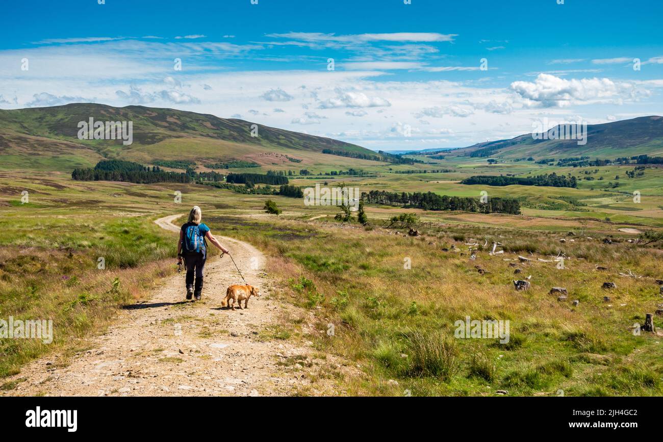 Un marcheur de chiens à Glen Clova à Angus, en Écosse Banque D'Images