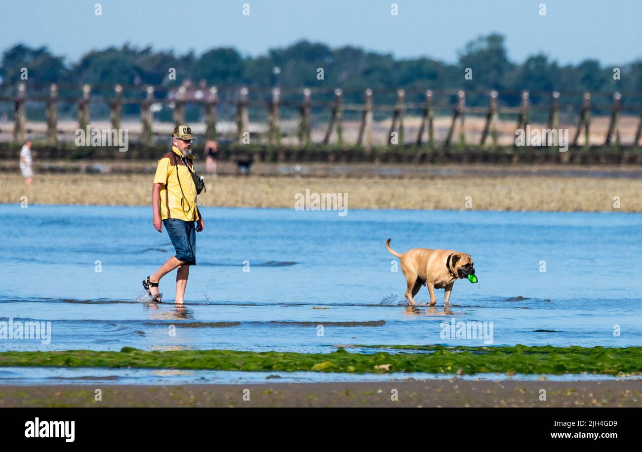 Littlehampton, West Sussex, Royaume-Uni. Vendredi 15th juillet 2022. Les gens marchent les chiens le long de la plage et dans la mer sur une autre matinée très chaude et ensoleillée sur la côte sud. Crédit : Geoff Smith/Alamy Live News Banque D'Images