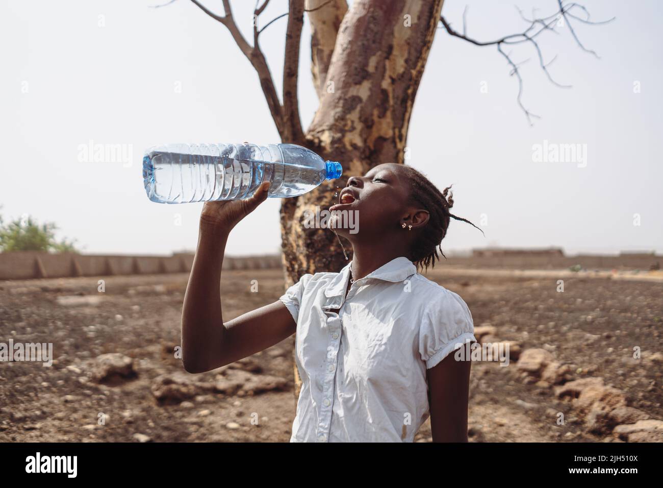Jeune fille africaine dans un champ parché devant un arbre avarié de l'eau potable d'une bouteille; concept de manque d'eau potable dans la région équatoriale Banque D'Images