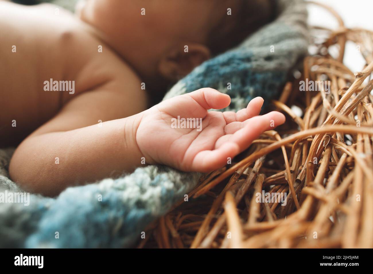 Gros plan d'un petit enfant nouveau-né main dans le nid Banque D'Images
