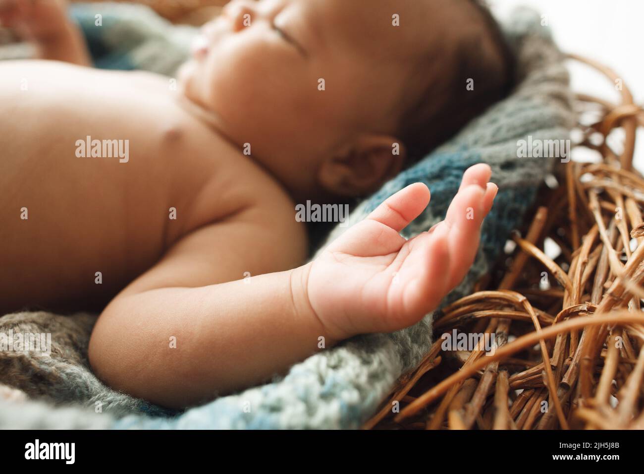 Nouveau-né allongé dans un nid, se concentrer sur la main Banque D'Images