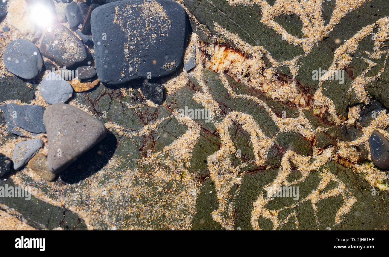 Sable de mer et rochers à proximité dans le lagon caché à Zambujeira do Mar, Algarve, Portugal Banque D'Images