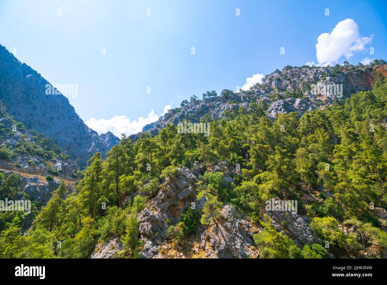 Collines ou falaises d'un canyon couvert d'arbres en été. Goynuk Canyon à Antalya Turquie. Banque D'Images