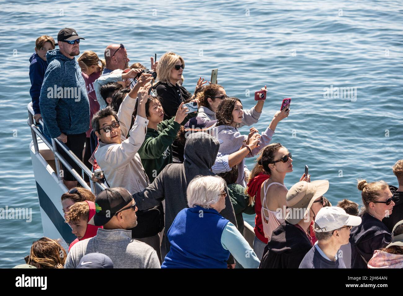 Provincetown, Massachusetts- 7 juillet 2022: Un groupe de personnes sur une observation des baleines au large de la côte de Cape Cod, utilisez des téléphones cellulaires pour prendre des photos de la houppback wh Banque D'Images