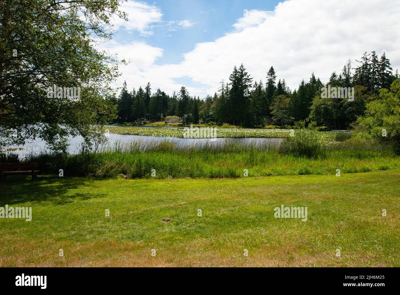 Magic Lake, North Pender Island, Colombie-Britannique, Canada Banque D'Images