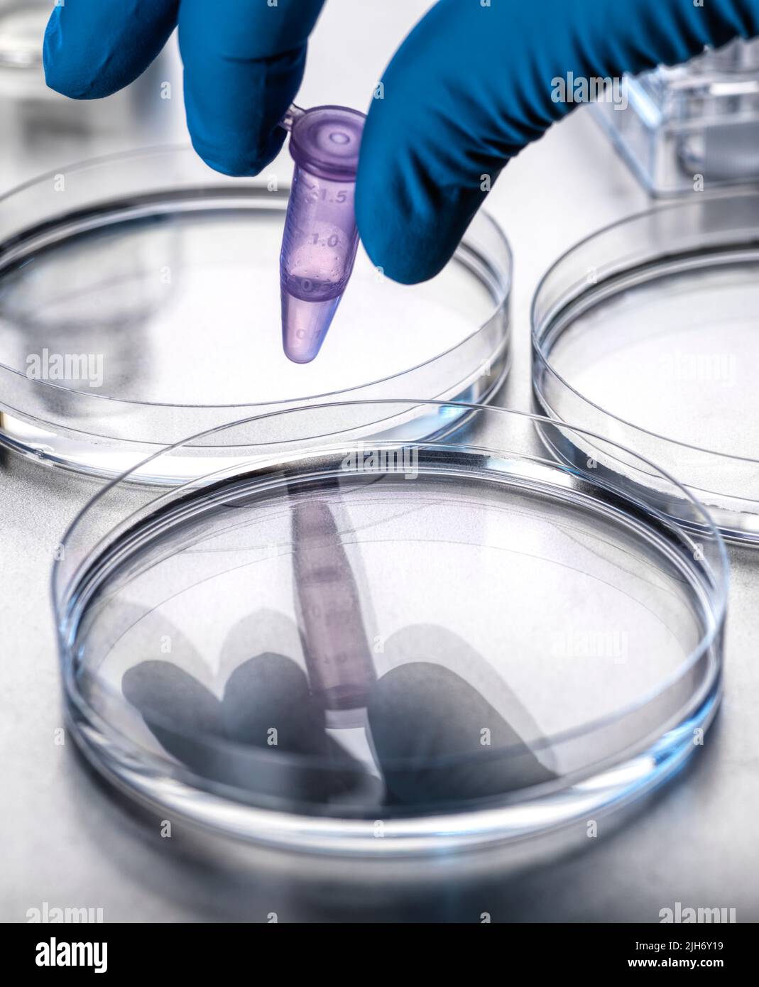 Biotechnologie Banque D'Images