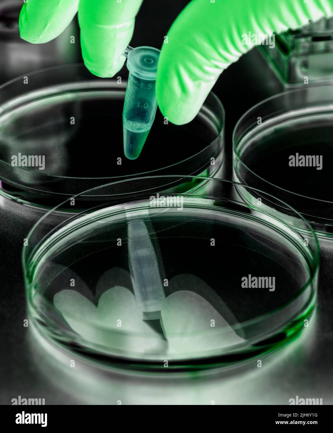 Biotechnologie Banque D'Images