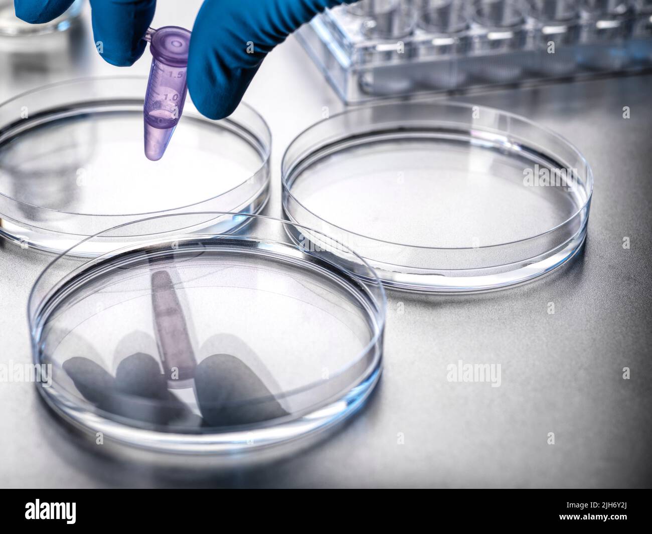 Biotechnologie Banque D'Images