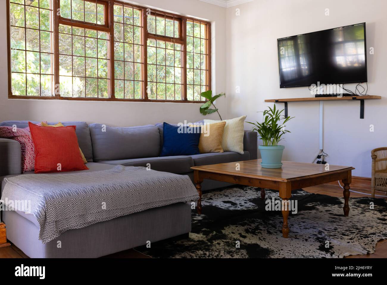 Intérieur de la maison avec tv au mur, coussins colorés sur le canapé et plante en pot sur la table basse Banque D'Images