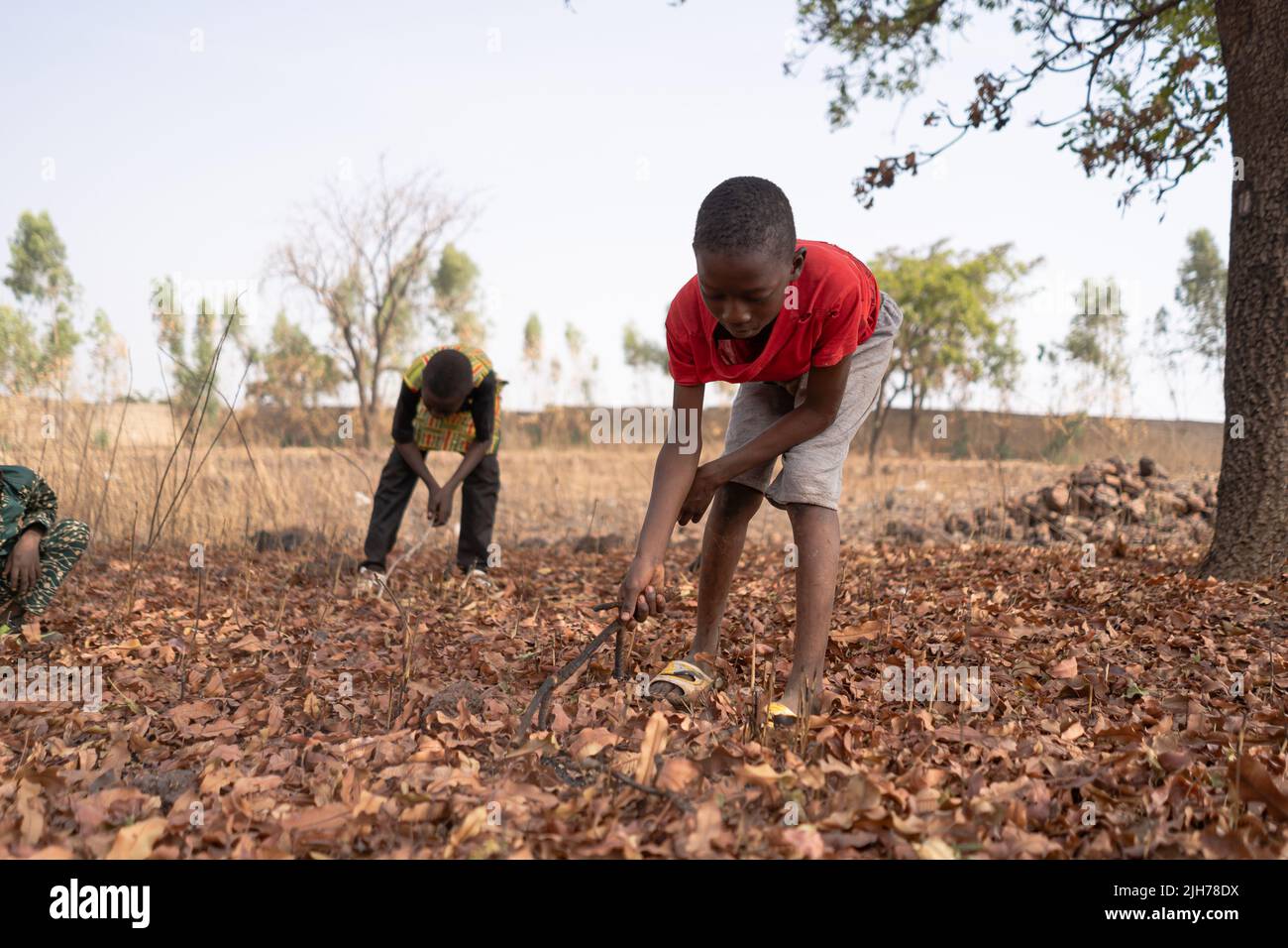 Deux fils d'agriculteurs africains à la recherche d'insectes et de petits ravageurs qui peuvent infecter le champ de leur père Banque D'Images