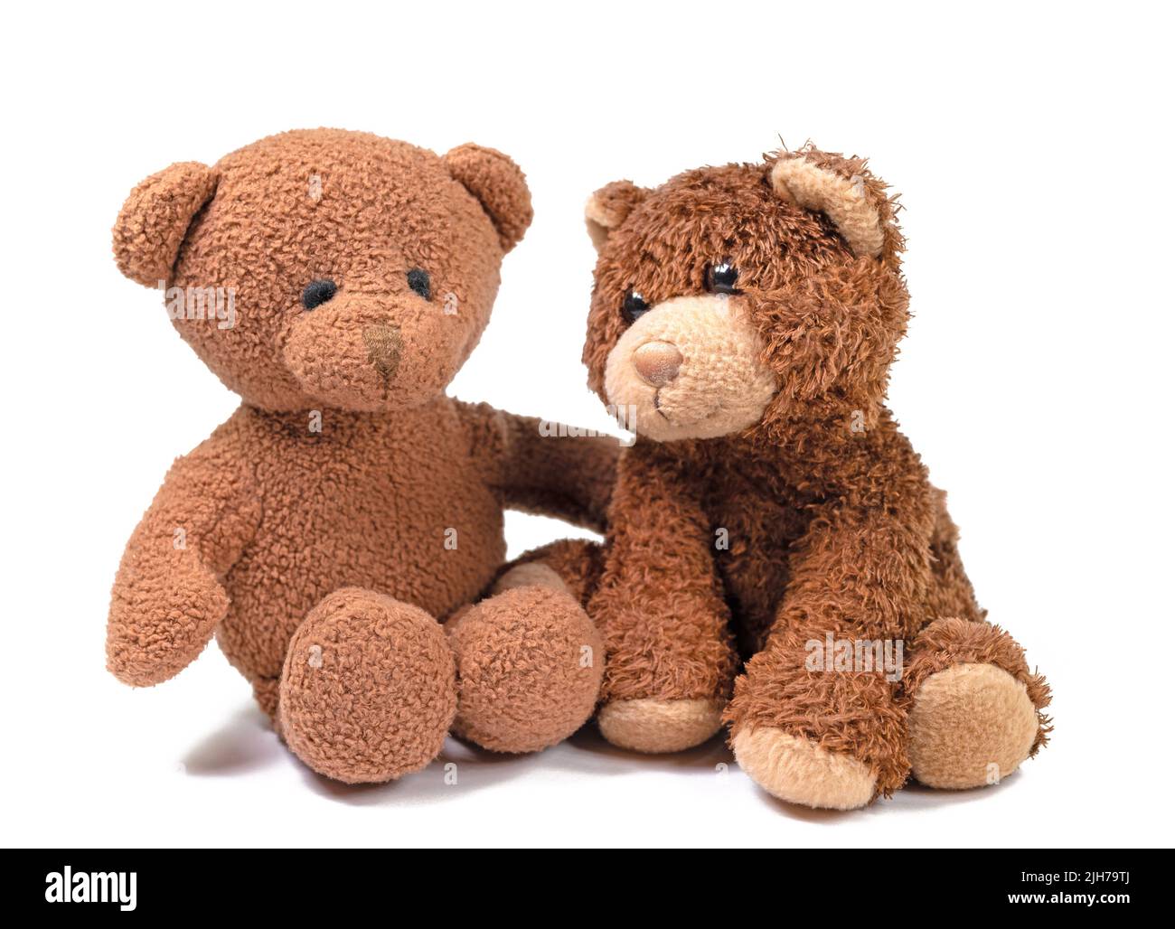 Deux ours en peluche devant un fond blanc Banque D'Images