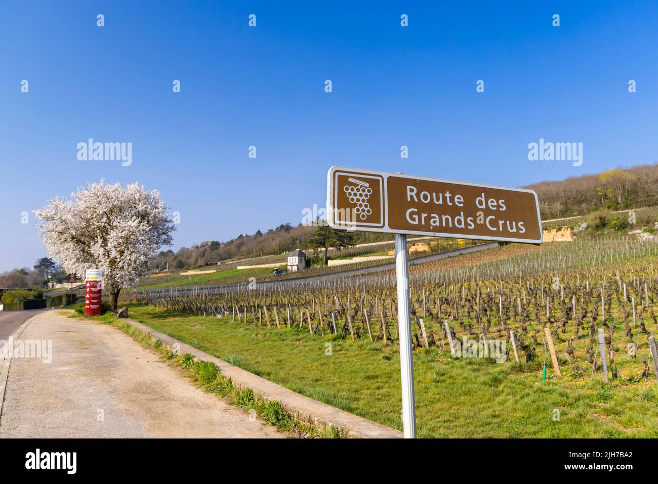 Route des vins (route des Grands crus) près de Beaune, Bourgogne, France Banque D'Images