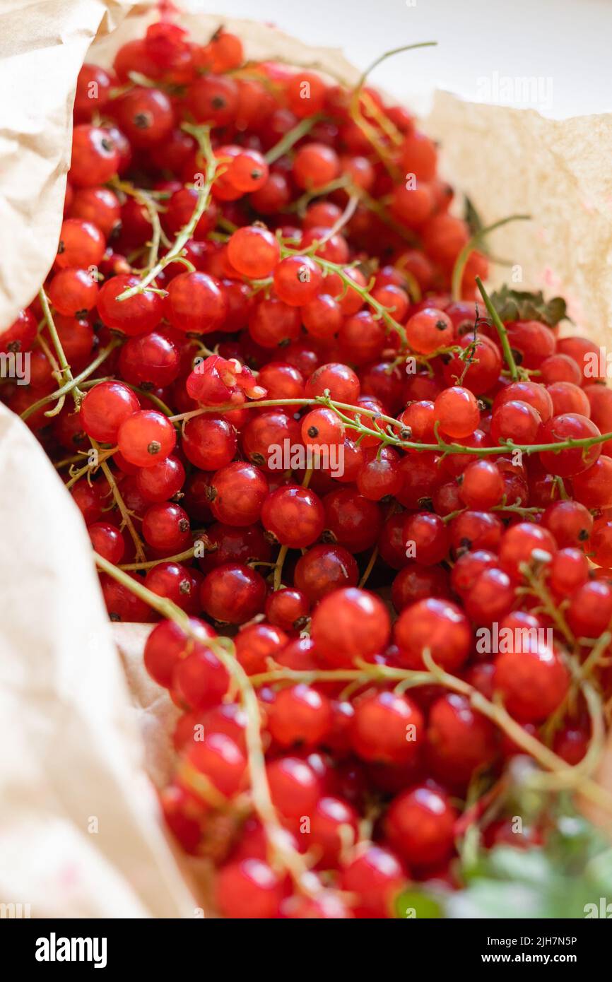 Vue de dessus des baies de cassis dans un sac en papier. Nourriture de récolte saine pour l'été Banque D'Images