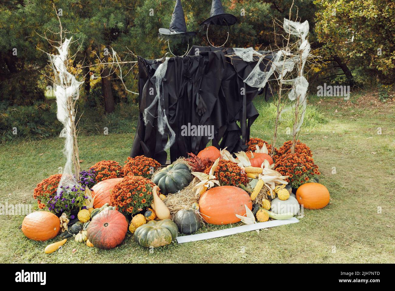 Halloween sorcière fracas, toile d'araignée, citrouilles et automne chrysanthème fleurs décoration.Décor de cour et idées de zone de photo de vacances pour la fête.Mise au point sélective, espace de copie Banque D'Images