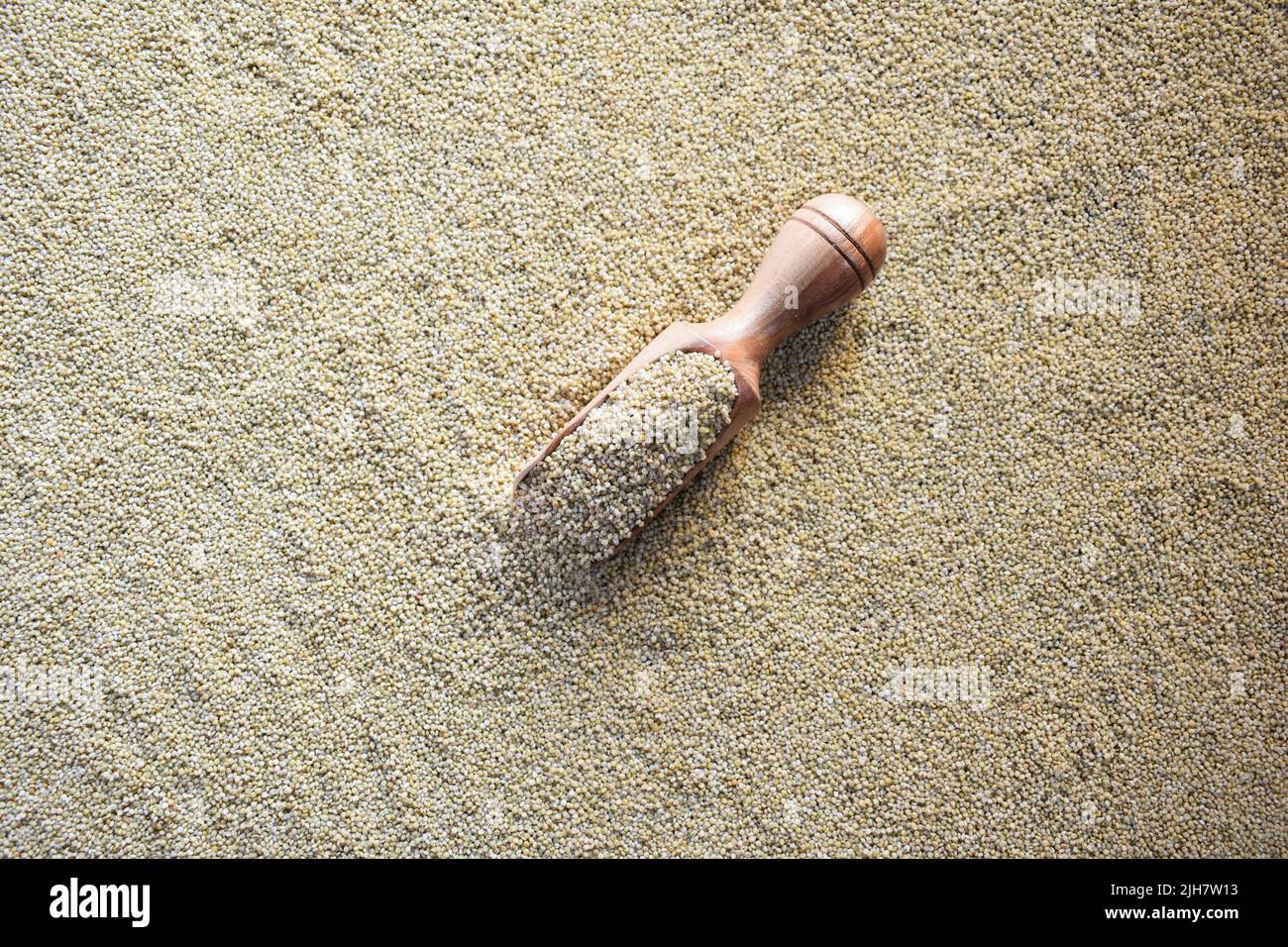 Grain de céréales de millet brun entier et séché brut Banque D'Images