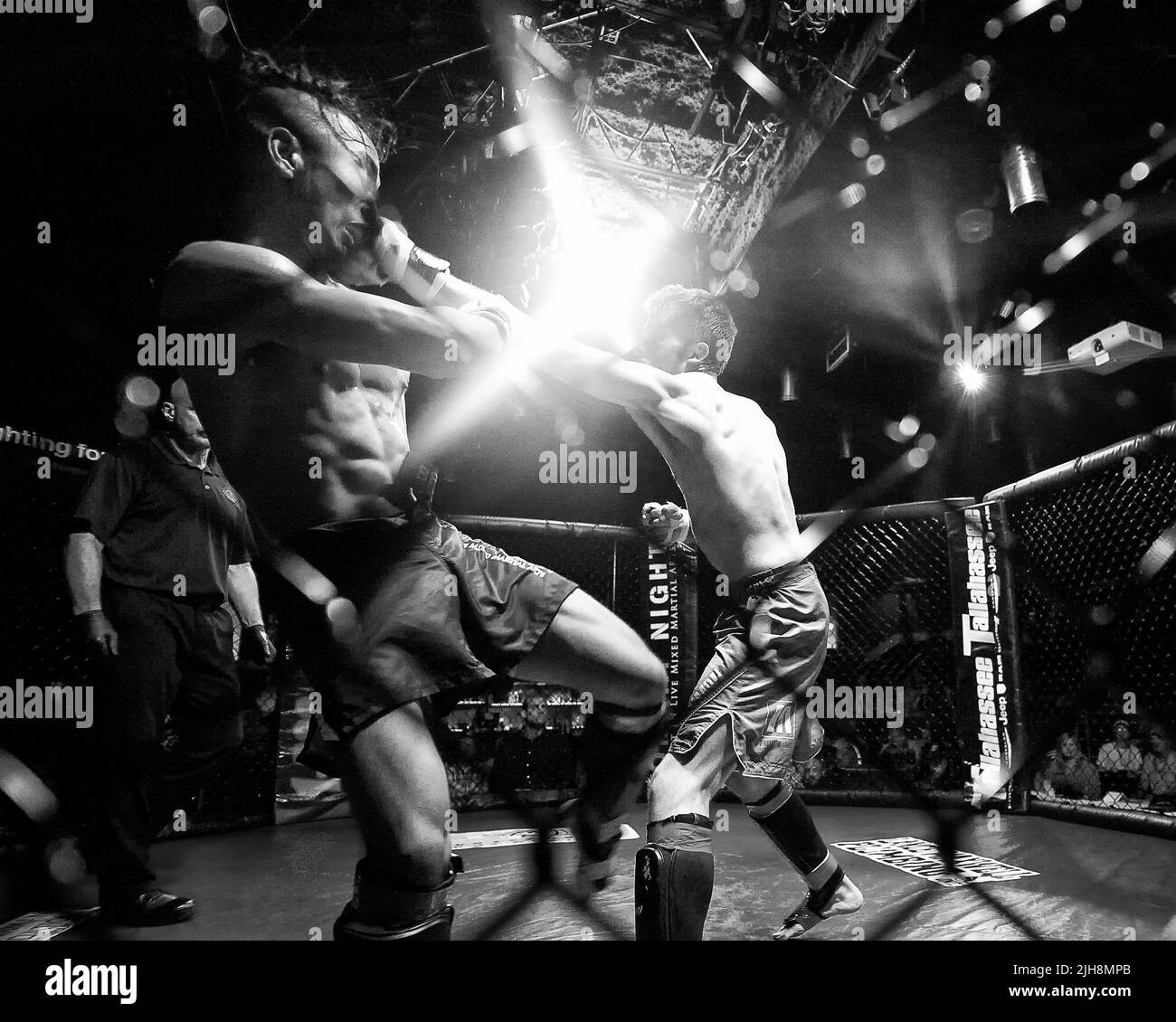 MMA Fight Kick Punch Kick Banque D'Images