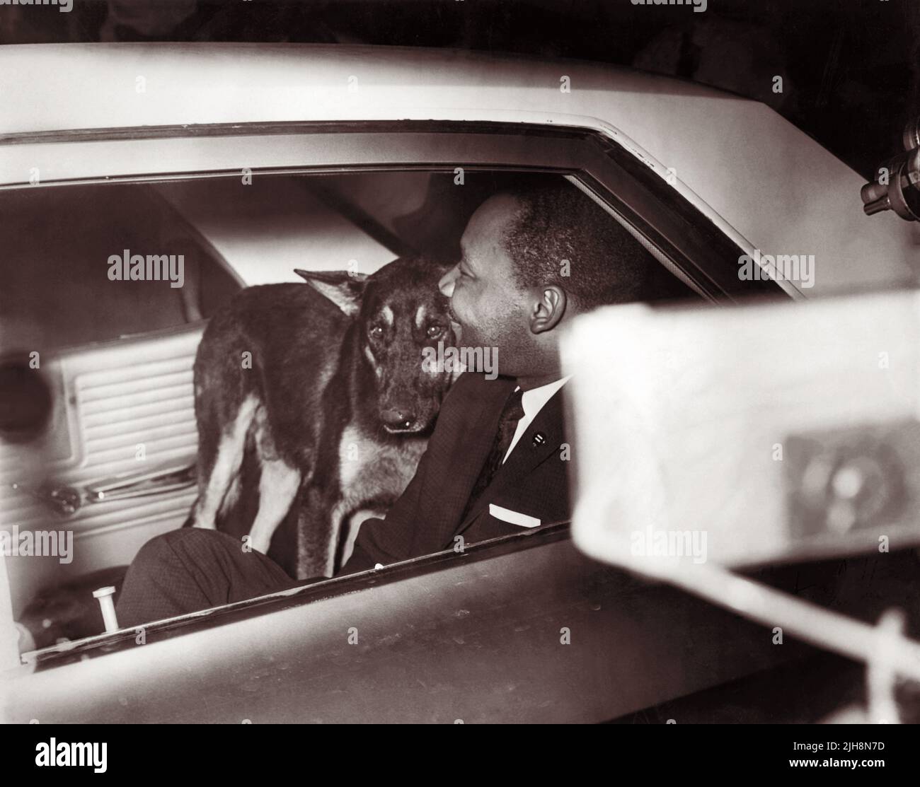 Martin Luther King étant accompagné d'un chien de police à l'arrière d'une voiture de patrouille routière de Floride du Grand jury du comté de St. Johns sur 12 juin 1964, après son arrestation pour avoir essayé de manger dans un restaurant réservé aux blancs au Monson Motor Lodge à St. Augustine, Floride. King a été arrêté sur 11 juin 1964 et a fait face au grand jury du comté de St Johns sur 12 juillet avant d'être transféré à la prison du comté de Duval (sur demande du gouverneur de Floride, Farris Bryant) à Jacksonville, où il a fait face au grand jury du comté de Duval sur 13 juin 1964. Banque D'Images