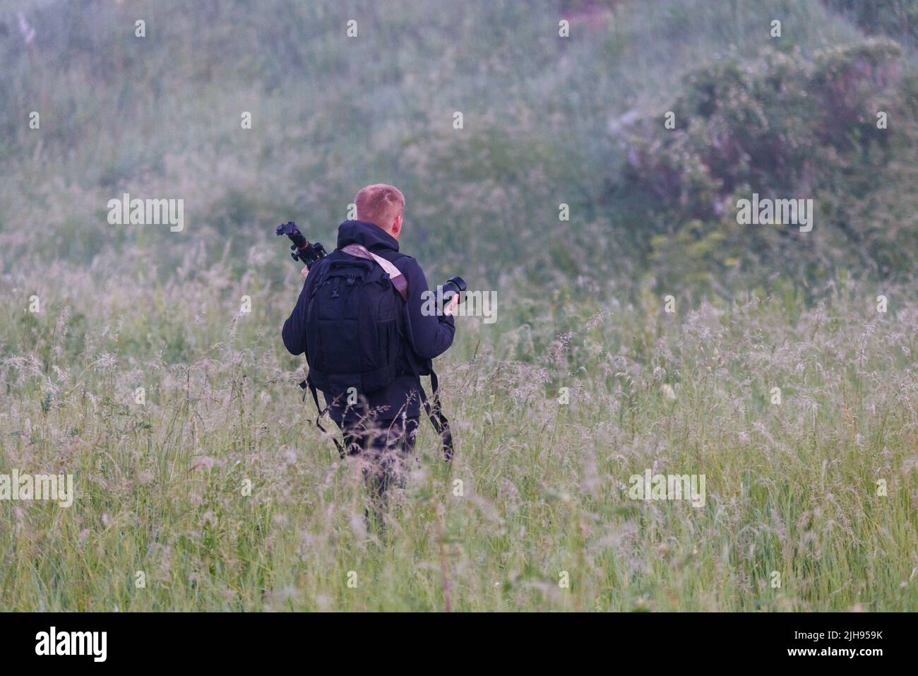 photographe professionnel se déplaçant à travers l'herbe sèche haute dans le matin brumeux à la zone de prise de vue avec l'appareil photo, le trépied et le sac à dos noir Banque D'Images