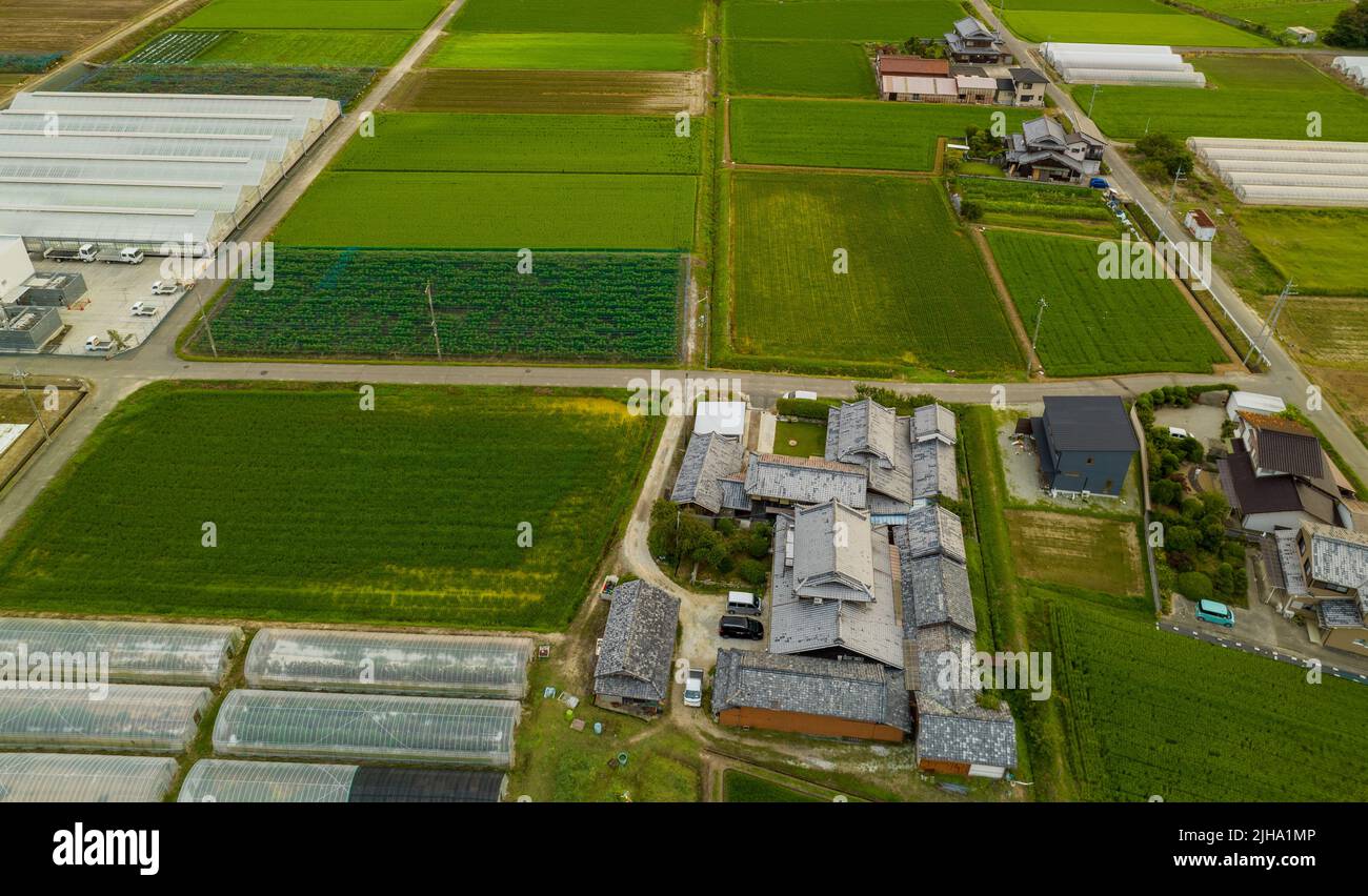 Vue aérienne de la grande maison japonaise entourée de rizières Banque D'Images