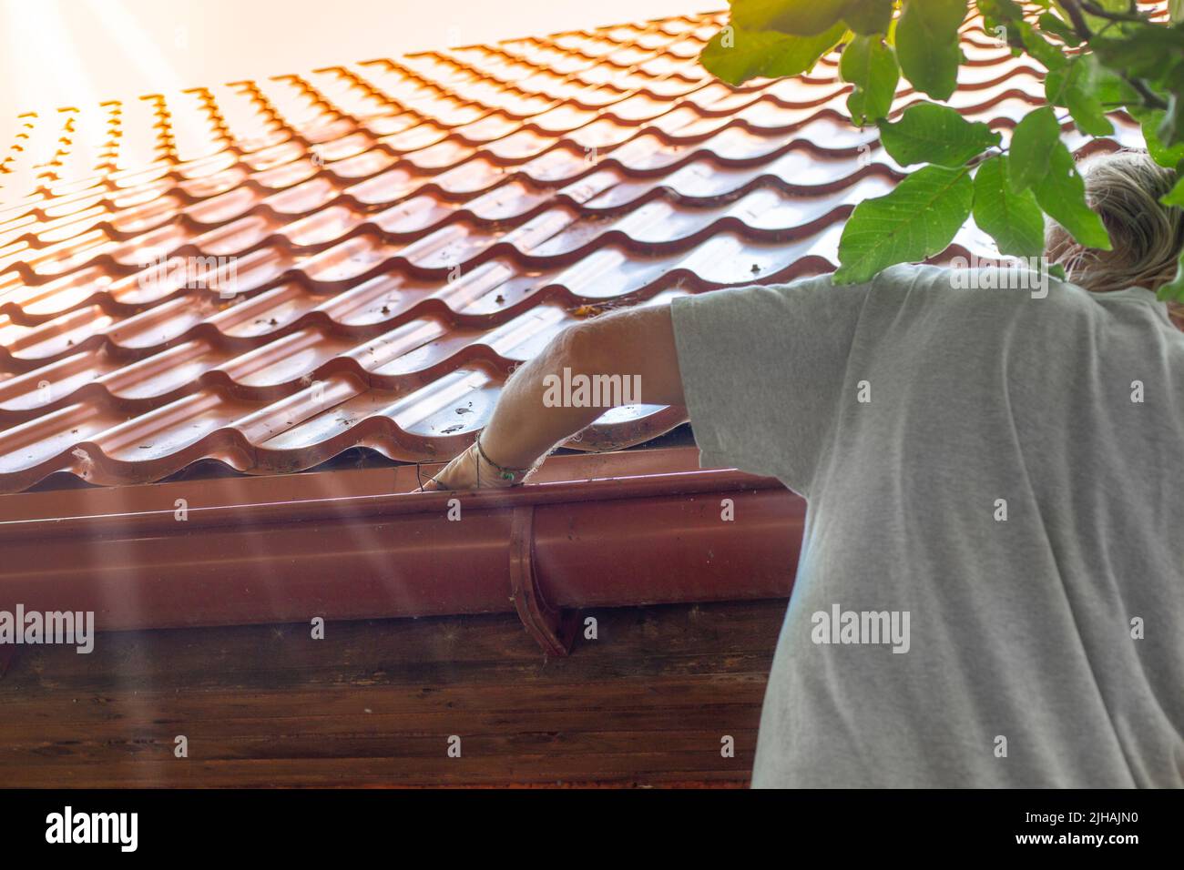 Un jardinier nettoie la gouttière d'un tuyau d'évacuation des feuilles sèches. Prévention de l'obstruction de vidange. Banque D'Images