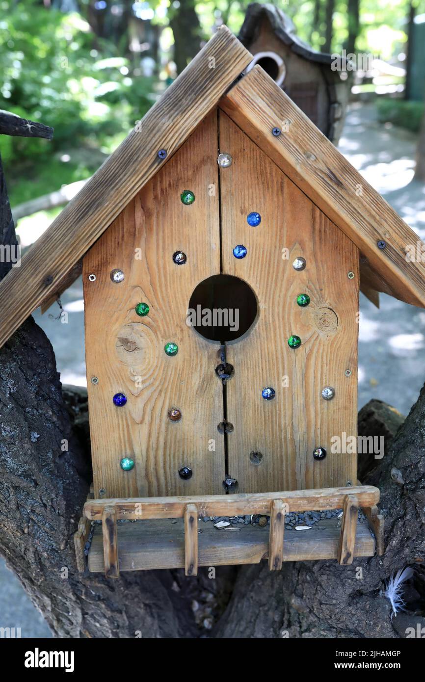 Vue sur la boîte de nidification de l'arbre dans le parc Banque D'Images
