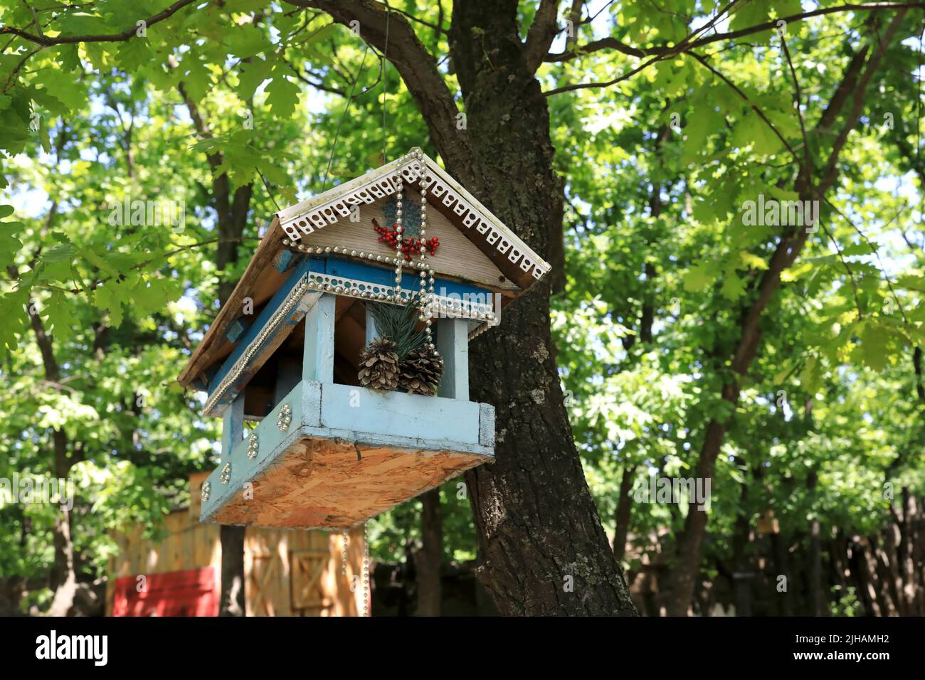 Vue sur la boîte à ponte en bois accrochée à la branche du parc Banque D'Images