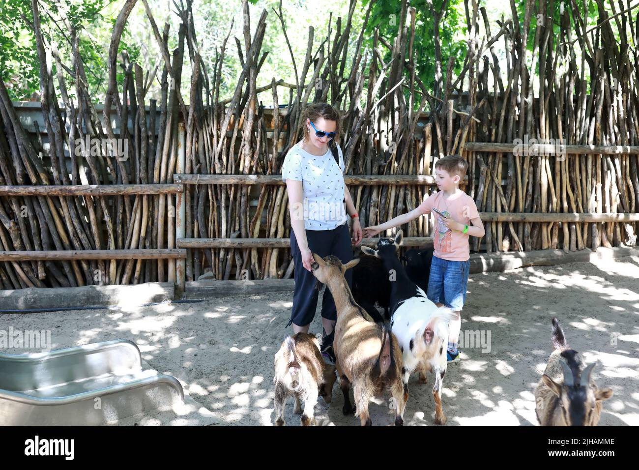 Mère et fils jouent avec des chèvres au zoo pour enfants Banque D'Images